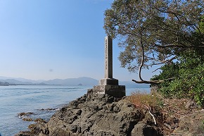 IMG_9317