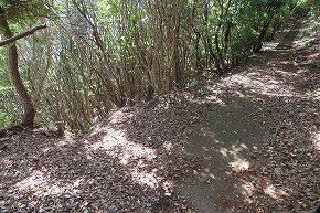 IMG_9255