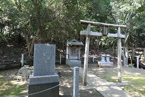 IMG_7997 (1)