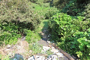 IMG_8346