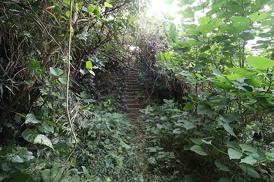 IMG_5919