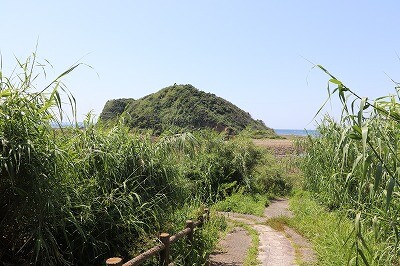 IMG_8845