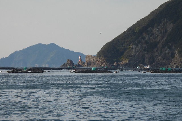 DSCN1446