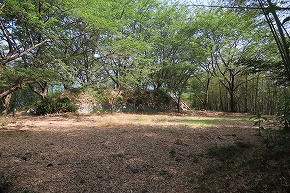 IMG_0369