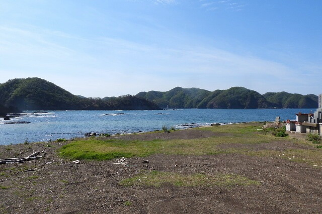 DSCN6730