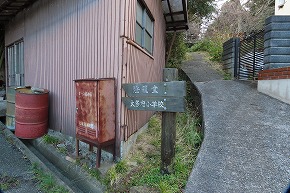IMG_5971