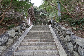 IMG_1375