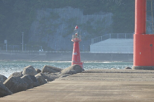 DSCN3364