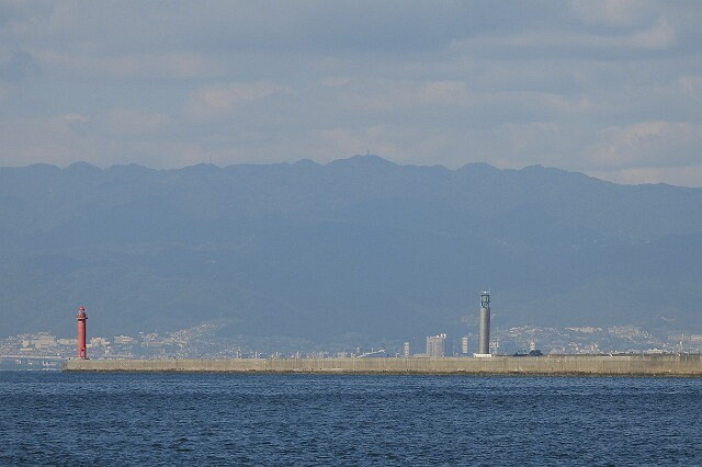 DSCN8821