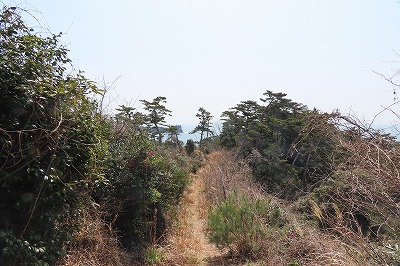 IMG_5994
