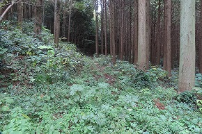 IMG_9416