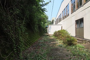 IMG_0891