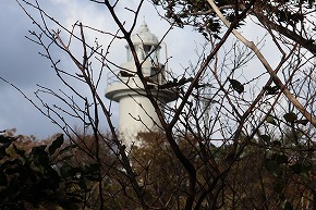 IMG_0938