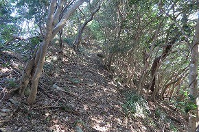 IMG_9294