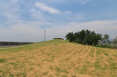 IMG_0548