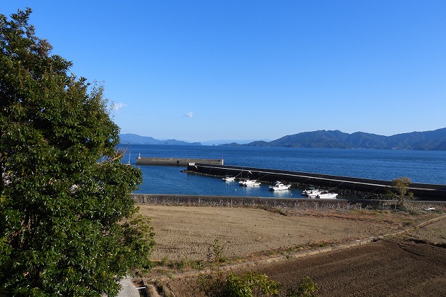 DSCN6040