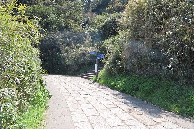 IMG_5958