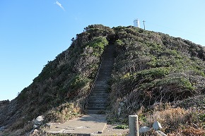 IMG_1099