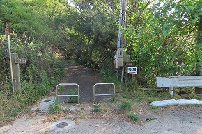 IMG_0289
