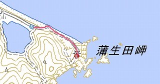 kamota