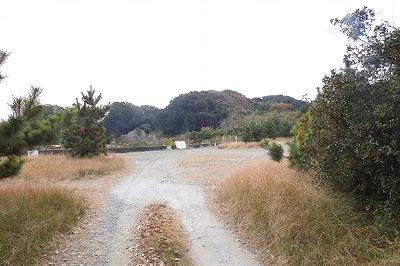 DSCN1123