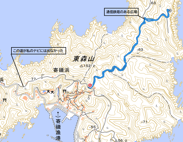 hayasaki
