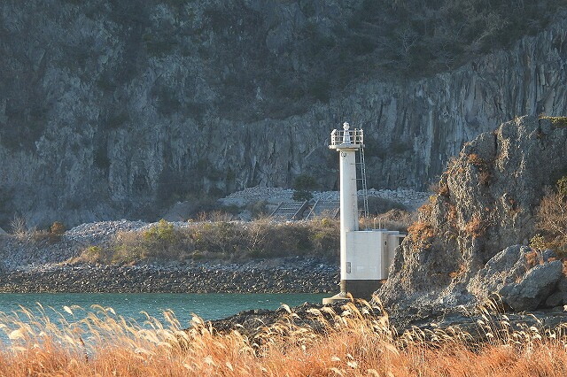 DSCN4361