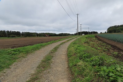 IMG_4540