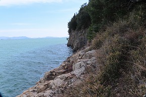 IMG_6059