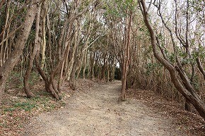 IMG_1376
