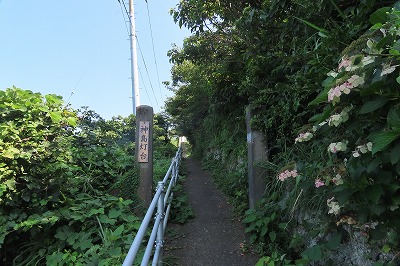 IMG_0999