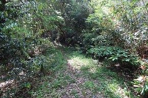IMG_9257