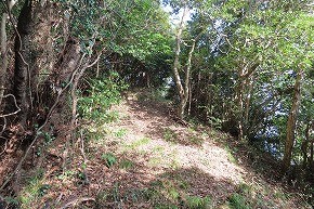IMG_9290