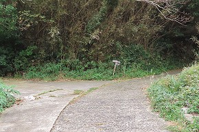 IMG_9512