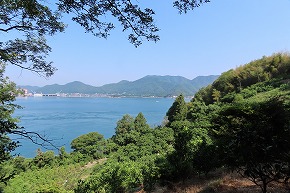 IMG_0367