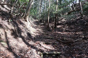 IMG_6073