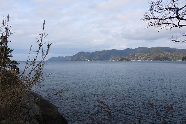 DSCN2094
