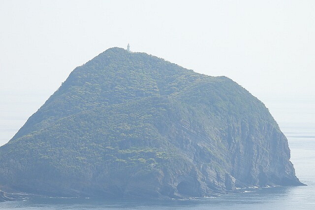 DSCN6871