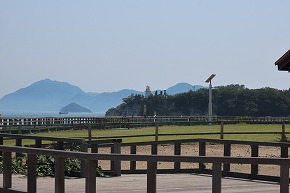 IMG_0162