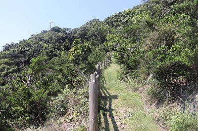 IMG_8991