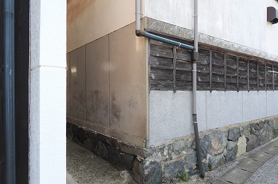 DSCN6654