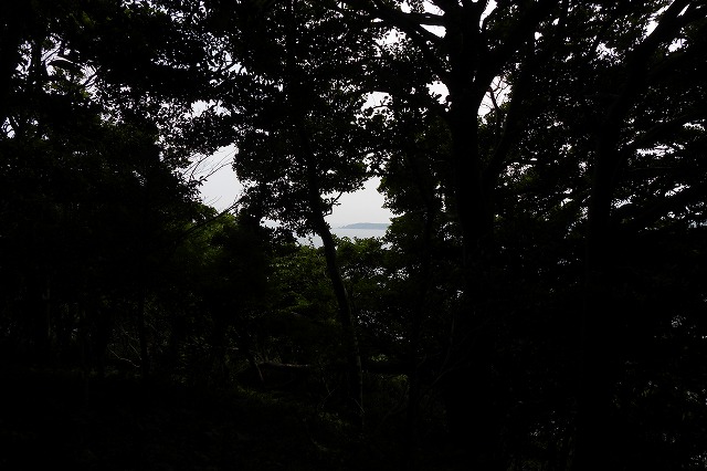 DSCN3535