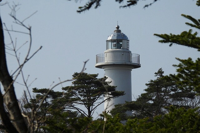 DSCN5298