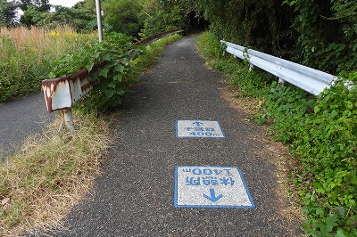 DSCN9254