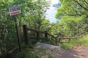 IMG_0293