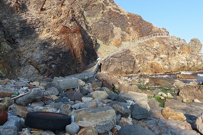 IMG_6489