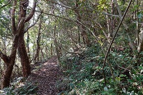 dsc09843