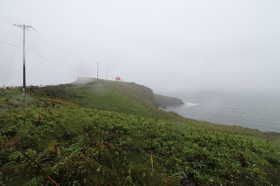 IMG_1251