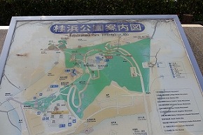 dsc09911