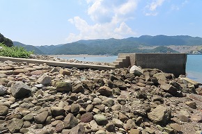 IMG_8078